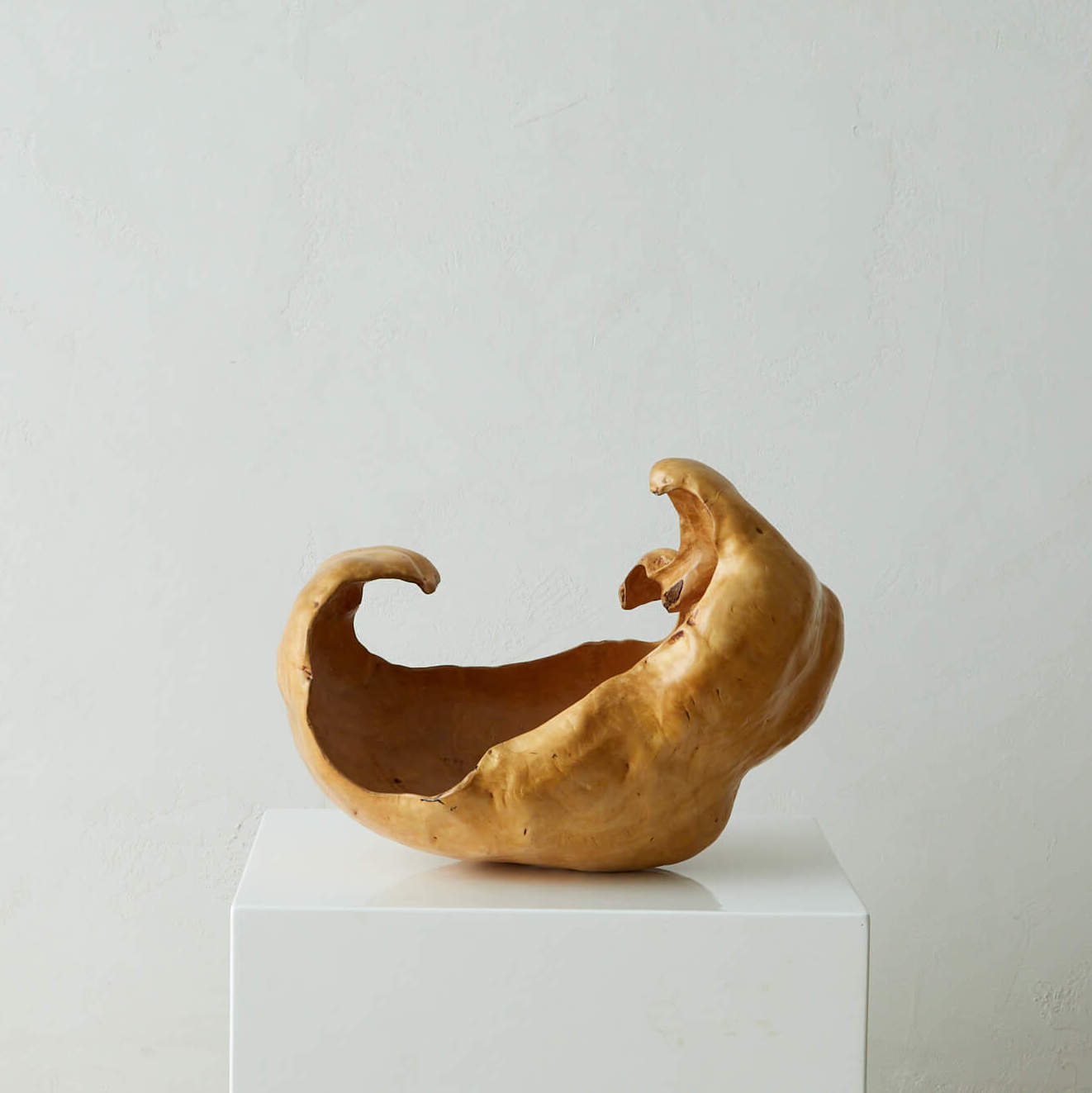 Large and Sculptural Burl Bowl
