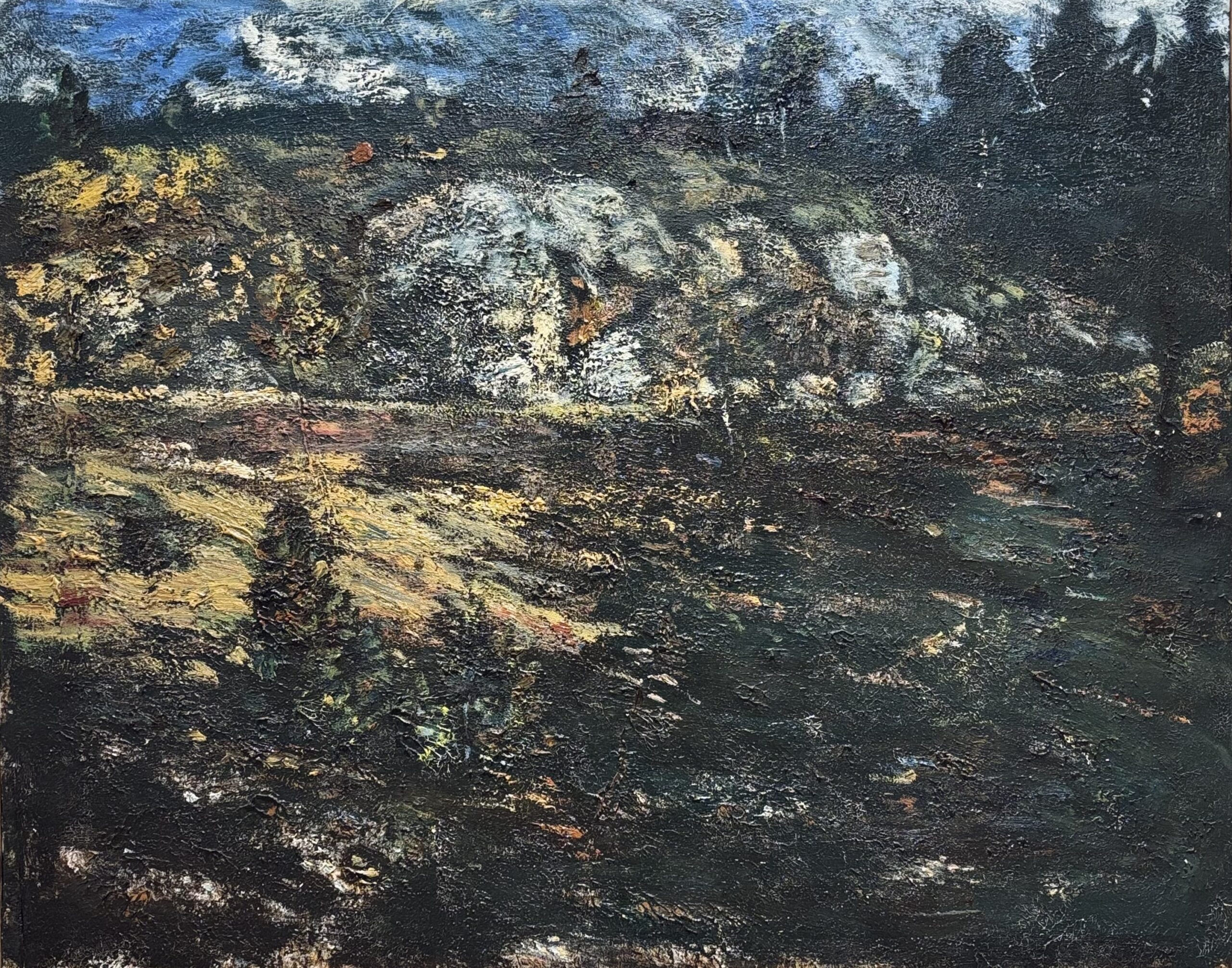 “LANDSKAP VALLEN” BY HANS WIGERT