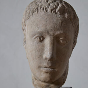 Bust of a Young Man